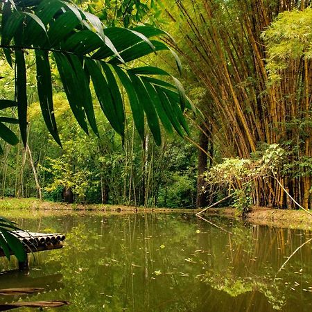 Reserva Biologica Caoba Bonda ภายนอก รูปภาพ