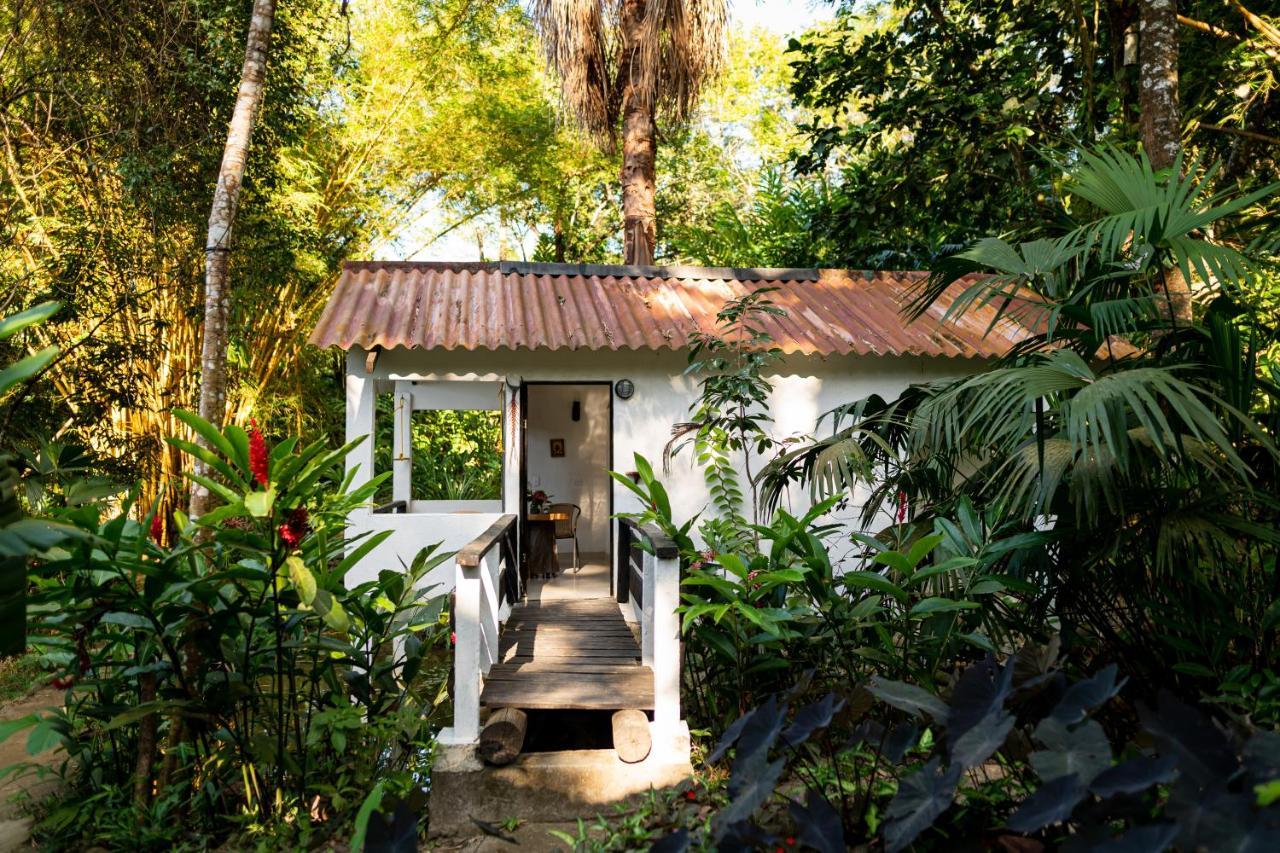 Reserva Biologica Caoba Bonda ภายนอก รูปภาพ