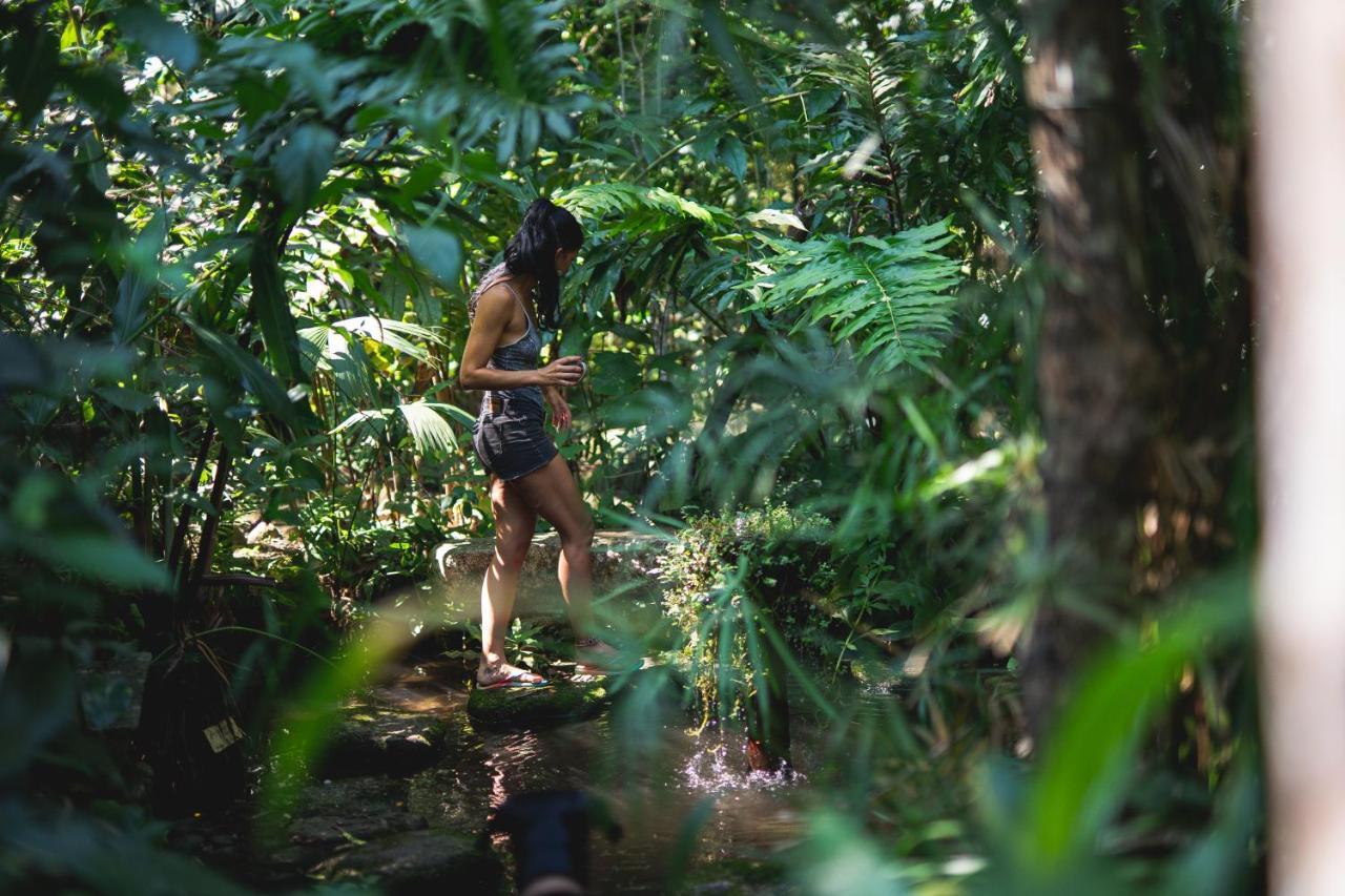 Reserva Biologica Caoba Bonda ภายนอก รูปภาพ