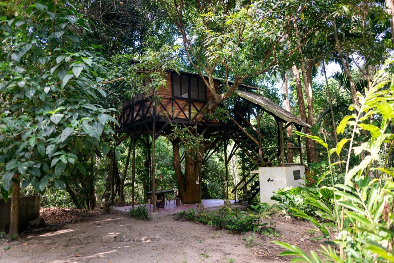 Reserva Biologica Caoba Bonda ภายนอก รูปภาพ