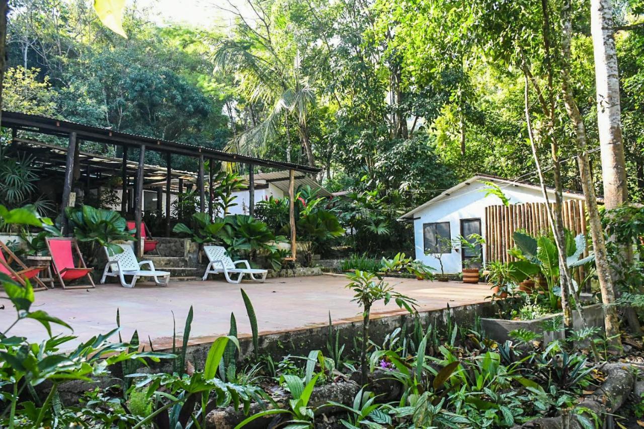 Reserva Biologica Caoba Bonda ภายนอก รูปภาพ