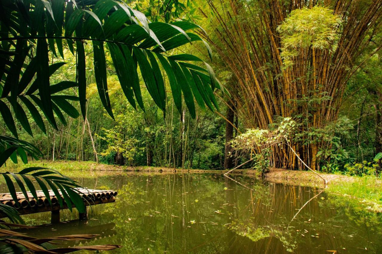 Reserva Biologica Caoba Bonda ภายนอก รูปภาพ