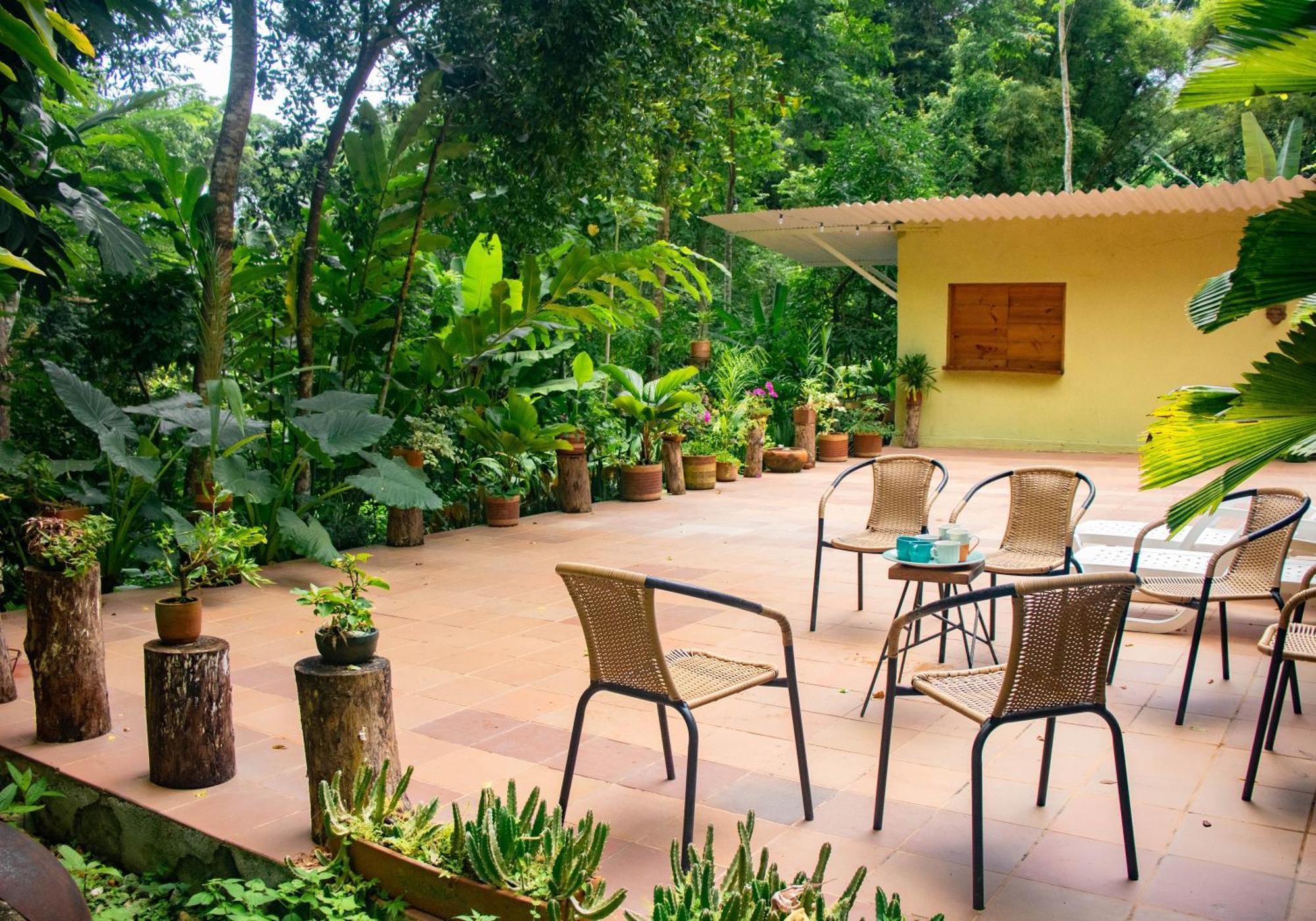Reserva Biologica Caoba Bonda ภายนอก รูปภาพ