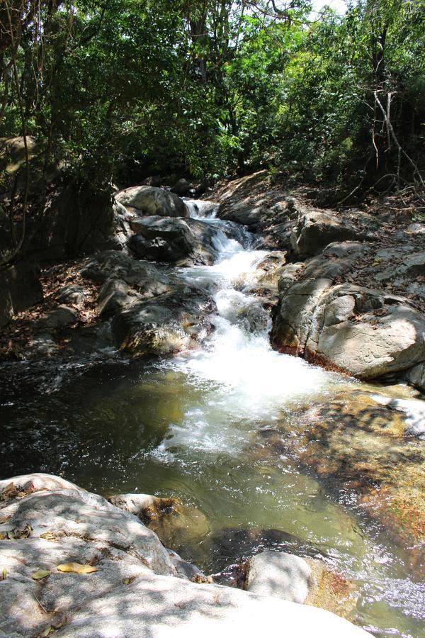 Reserva Biologica Caoba Bonda ภายนอก รูปภาพ